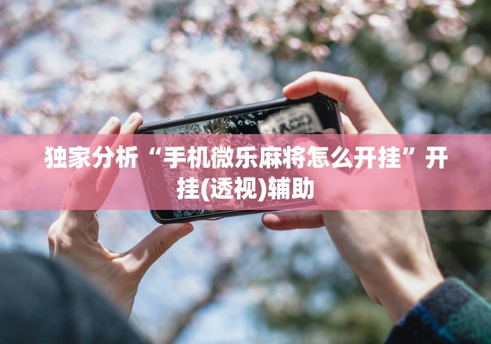 独家分析“手机微乐麻将怎么开挂	”开挂(透视)辅助
