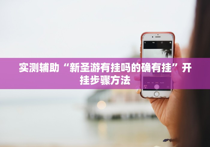 实测辅助“新圣游有挂吗的确有挂	”开挂步骤方法
