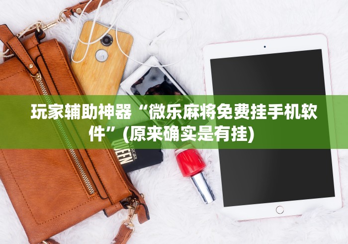 玩家辅助神器“微乐麻将免费挂手机软件”(原来确实是有挂) 