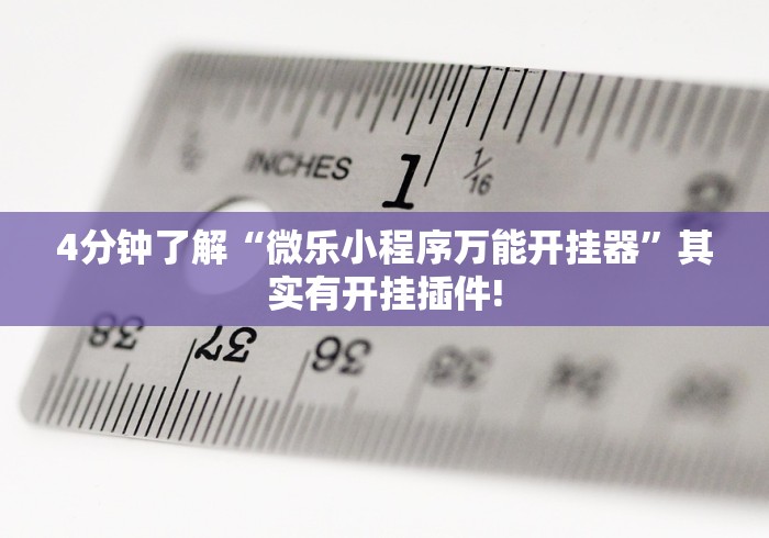 4分钟了解“微乐小程序万能开挂器”其实有开挂插件!