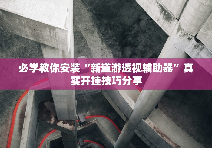 必学教你安装“新道游透视辅助器”真实开挂技巧分享