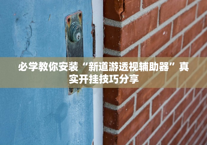 必学教你安装“新道游透视辅助器”真实开挂技巧分享
