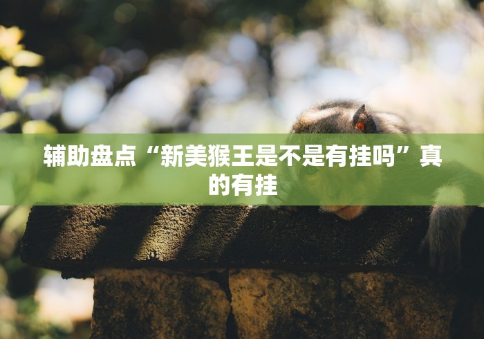 辅助盘点“新美猴王是不是有挂吗”真的有挂