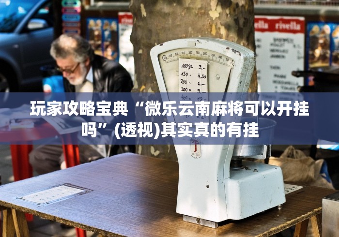 玩家攻略宝典“微乐云南麻将可以开挂吗”(透视)其实真的有挂