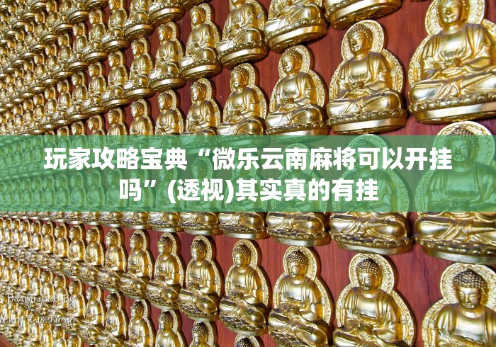 玩家攻略宝典“微乐云南麻将可以开挂吗”(透视)其实真的有挂