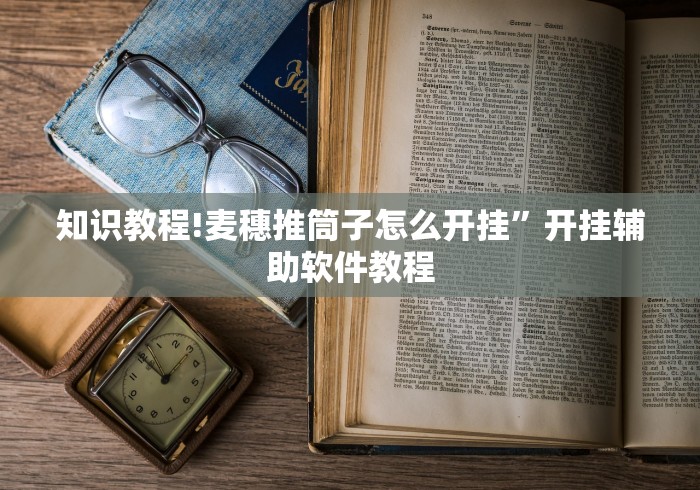 知识教程!麦穗推筒子怎么开挂	”开挂辅助软件教程