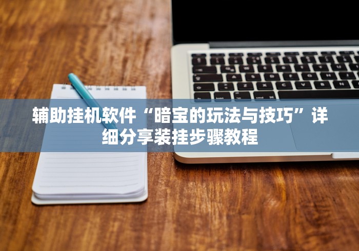 辅助挂机软件“暗宝的玩法与技巧”详细分享装挂步骤教程