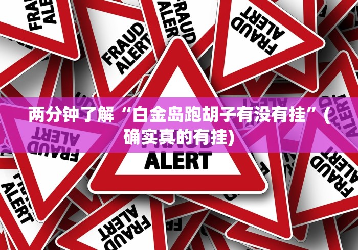 两分钟了解“白金岛跑胡子有没有挂”(确实真的有挂)