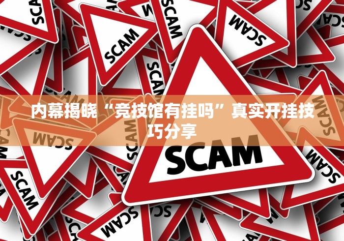 内幕揭晓“竞技馆有挂吗”真实开挂技巧分享