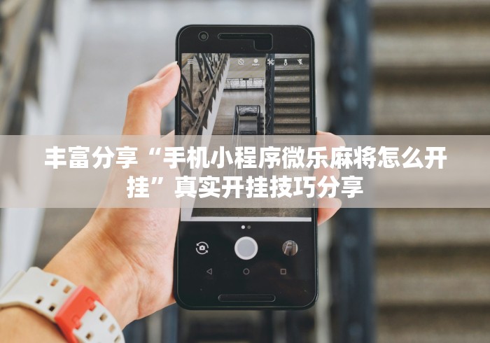 丰富分享“手机小程序微乐麻将怎么开挂”真实开挂技巧分享