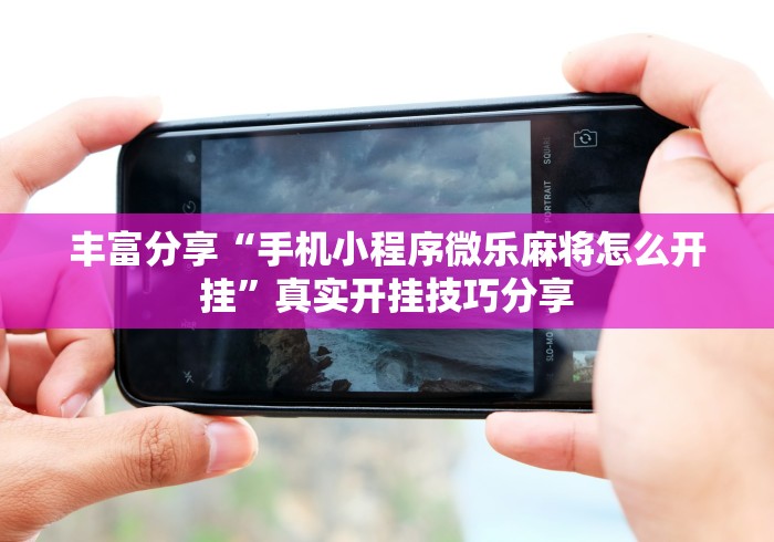丰富分享“手机小程序微乐麻将怎么开挂”真实开挂技巧分享