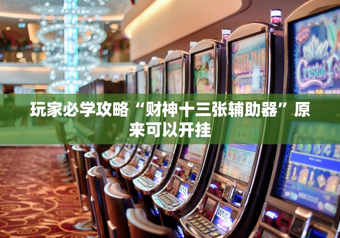 玩家必学攻略“财神十三张辅助器”原来可以开挂