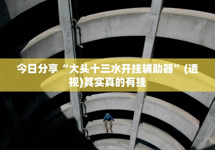 今日分享“大头十三水开挂辅助器”(透视)其实真的有挂