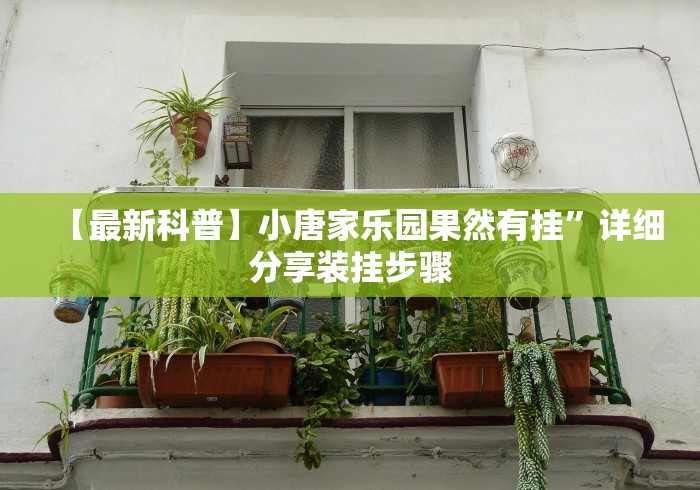 【最新科普】小唐家乐园果然有挂	”详细分享装挂步骤