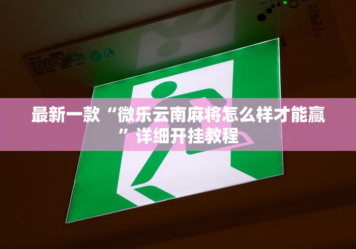 最新一款“微乐云南麻将怎么样才能赢”详细开挂教程