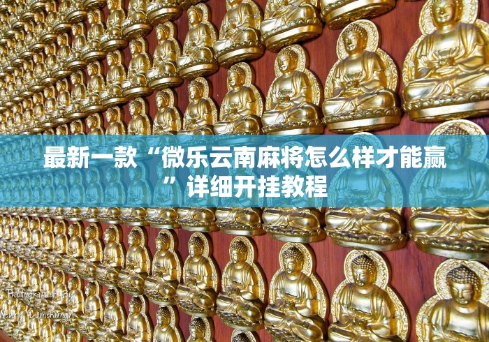 最新一款“微乐云南麻将怎么样才能赢”详细开挂教程