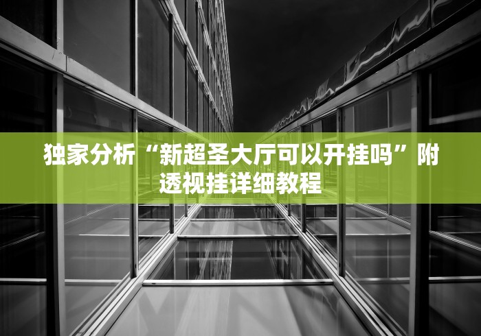 独家分析“新超圣大厅可以开挂吗”附透视挂详细教程