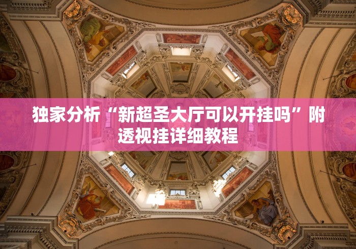 独家分析“新超圣大厅可以开挂吗”附透视挂详细教程