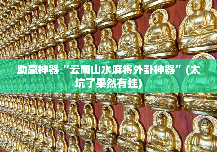 助赢神器“云南山水麻将外卦神器”(太坑了果然有挂)