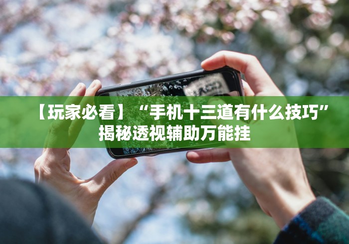 【玩家必看】“手机十三道有什么技巧”揭秘透视辅助万能挂