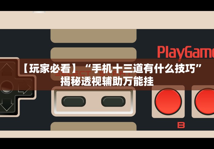 【玩家必看】“手机十三道有什么技巧”揭秘透视辅助万能挂