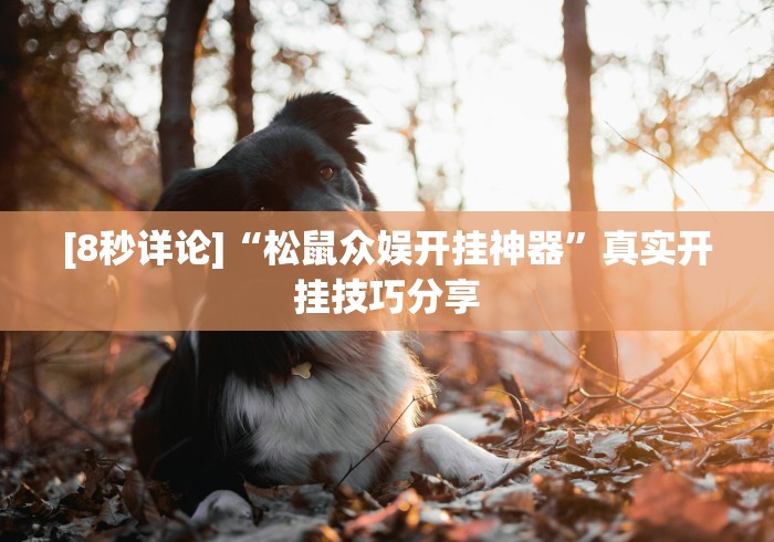 [8秒详论]“松鼠众娱开挂神器”真实开挂技巧分享