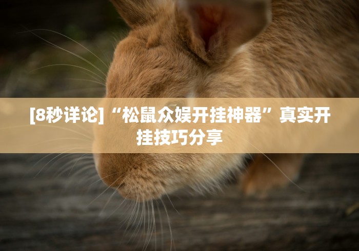 [8秒详论]“松鼠众娱开挂神器”真实开挂技巧分享
