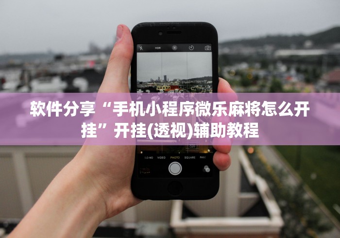 软件分享“手机小程序微乐麻将怎么开挂	”开挂(透视)辅助教程