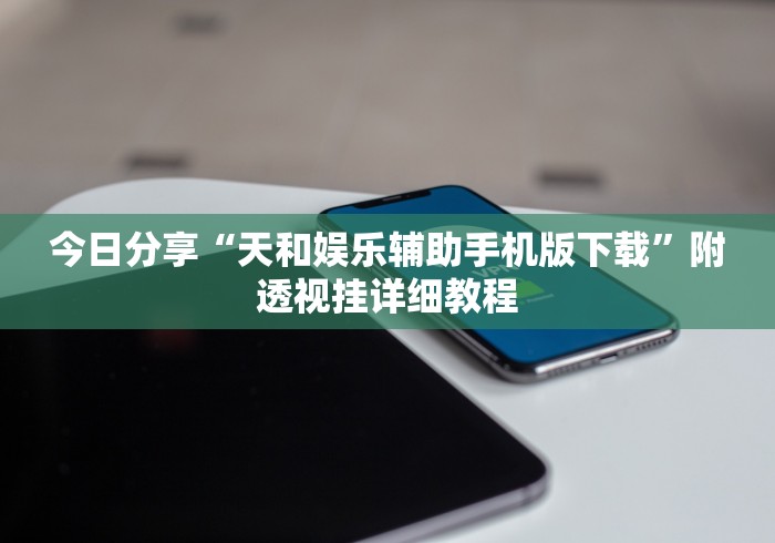 今日分享“天和娱乐辅助手机版下载”附透视挂详细教程