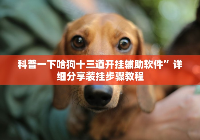 科普一下哈狗十三道开挂辅助软件	”详细分享装挂步骤教程
