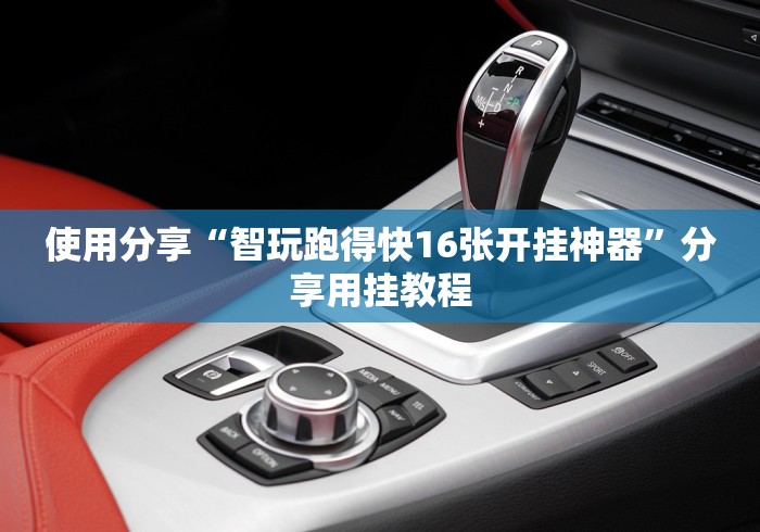 使用分享“智玩跑得快16张开挂神器”分享用挂教程