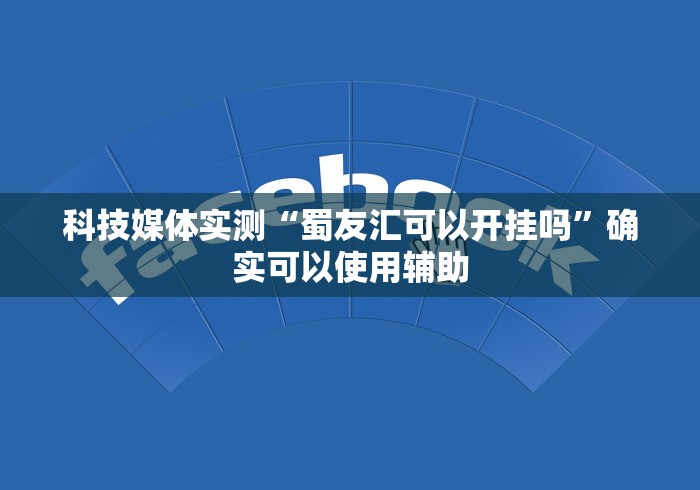 科技媒体实测“蜀友汇可以开挂吗”确实可以使用辅助