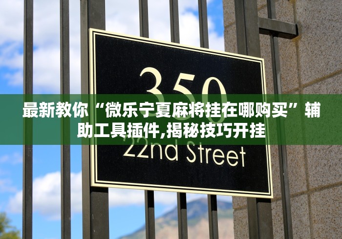 最新教你“微乐宁夏麻将挂在哪购买”辅助工具插件,揭秘技巧开挂