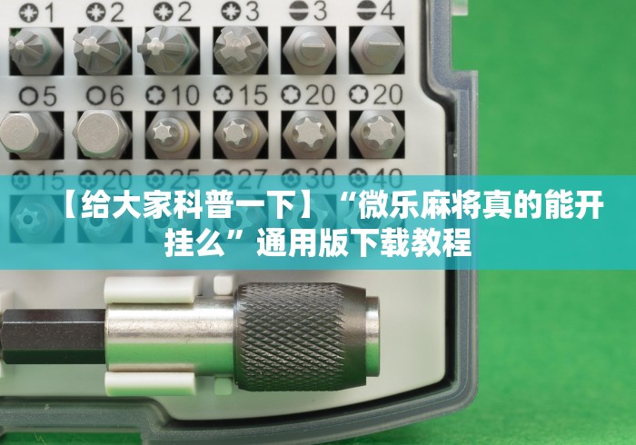【总结文章“丽水跑得快两人对战技巧	”(曝光透视必备猫腻)