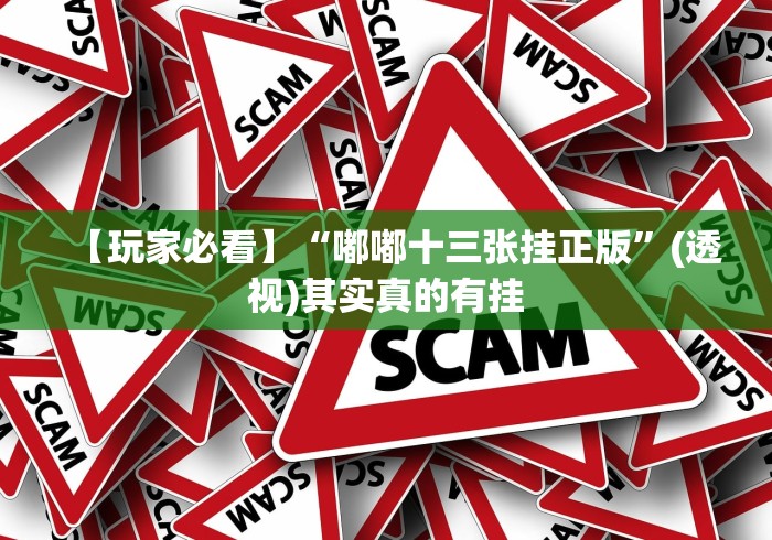 终于明白了 "手机打牌万能开挂神器下载”(透视挂)最新辅助详细教程