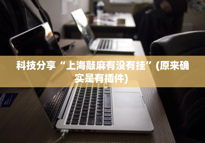 科技分享“上海敲麻有没有挂”(原来确实是有插件) 