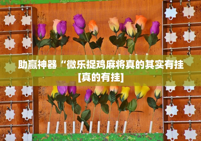 [分享]“福建大玩家辅助器”开挂(透视)辅助教程