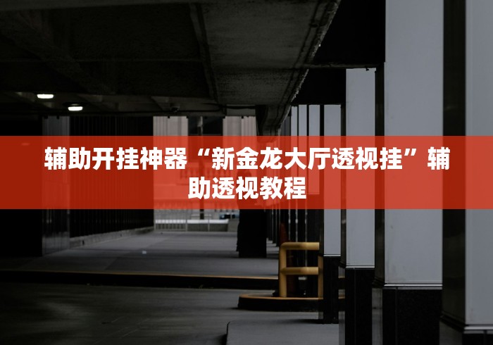 玩家必看教程“北方家乡游戏辅助(透视)”开挂(透视)辅助教程