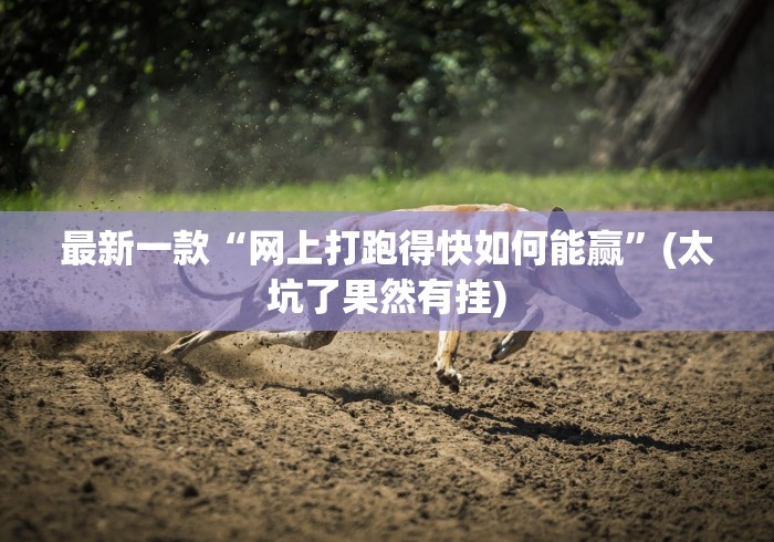 最新一款“网上打跑得快如何能赢”(太坑了果然有挂)