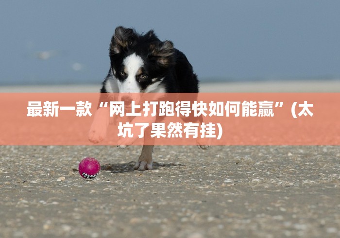 最新一款“网上打跑得快如何能赢	”(太坑了果然有挂)