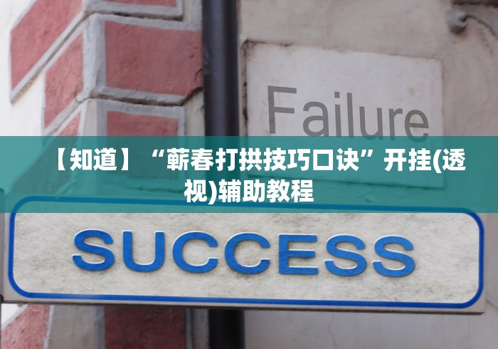 重磅揭秘 "闲来跑得快有没有挂”确实可以使用辅助