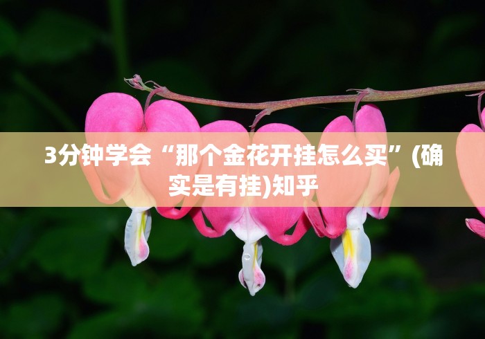 3分钟学会“那个金花开挂怎么买”(确实是有挂)知乎