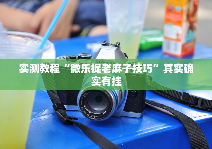 实测教程“微乐捉老麻子技巧”其实确实有挂