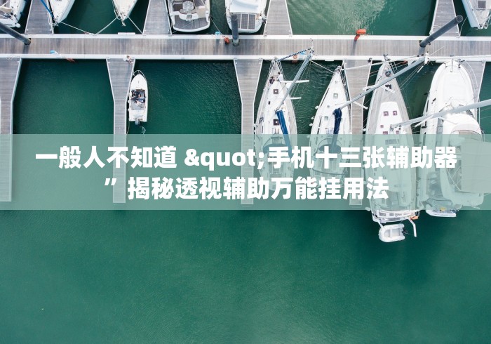 一般人不知道 "手机十三张辅助器”揭秘透视辅助万能挂用法