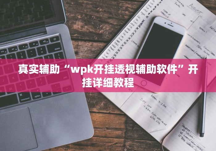 真实辅助“wpk开挂透视辅助软件”开挂详细教程
