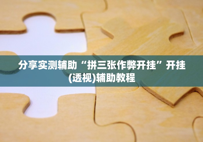 分享实测辅助“拼三张作弊开挂”开挂(透视)辅助教程