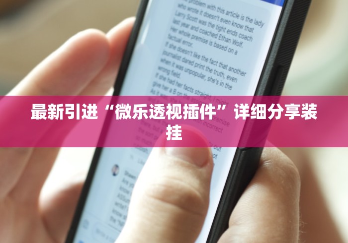最新引进“微乐透视插件”详细分享装挂