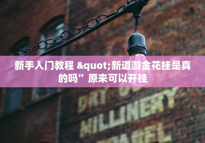 新手入门教程 "新道游金花挂是真的吗”原来可以开挂