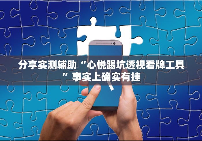 分享实测辅助“心悦踢坑透视看牌工具”事实上确实有挂