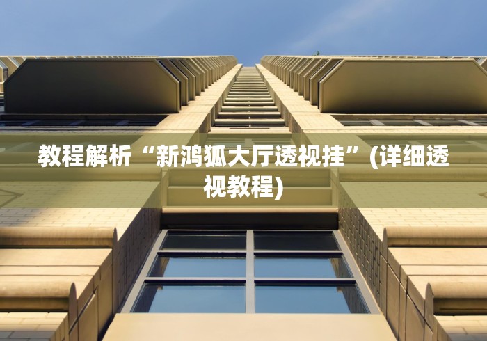 教程解析“新鸿狐大厅透视挂”(详细透视教程)